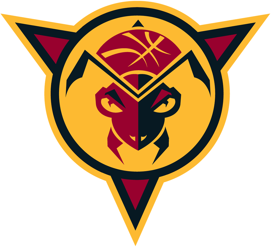 Fort Wayne Mad Ants 2006-2017 Alternate Logo iron on heat transfer